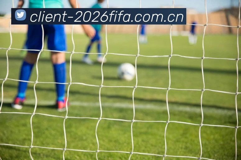 FIFA官方数据授权认证